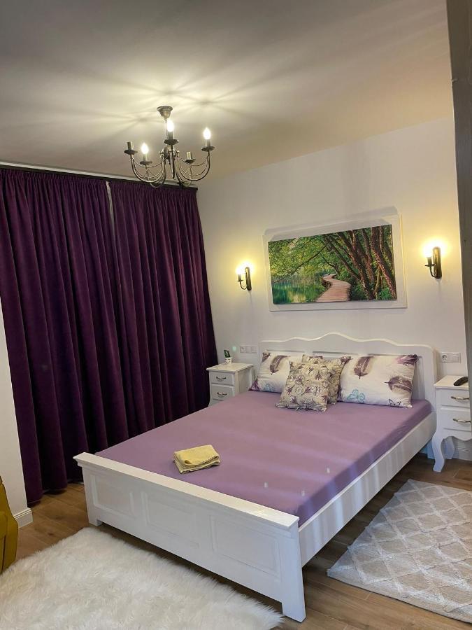 Apartament Gabriela 39 Baia Mare Exterior photo