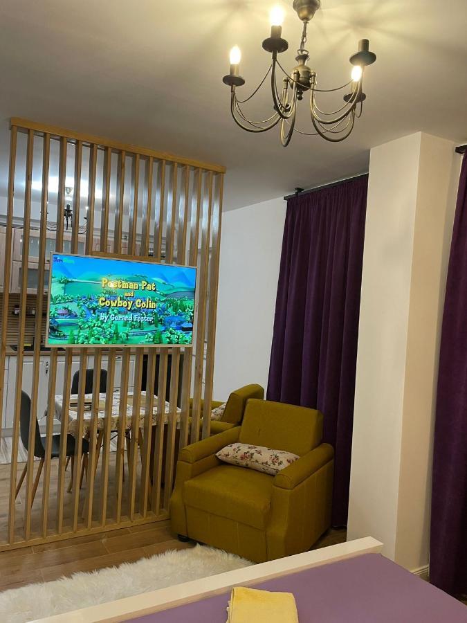 Apartament Gabriela 39 Baia Mare Exterior photo